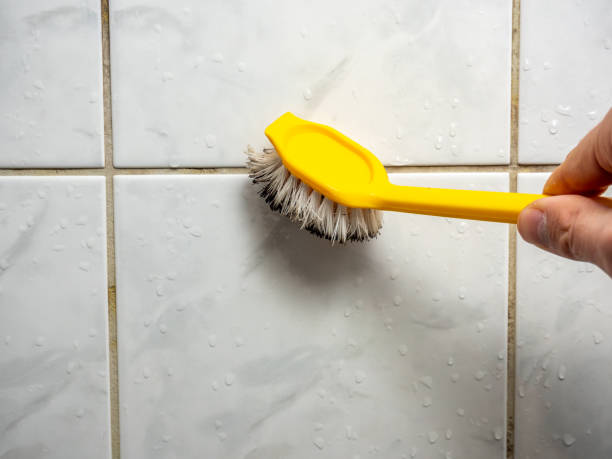 Best Home Mold Removal  in Pleasant Grove, UT