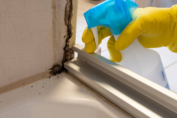 Crawl Space Mold Removal in Pleasant Grove, UT